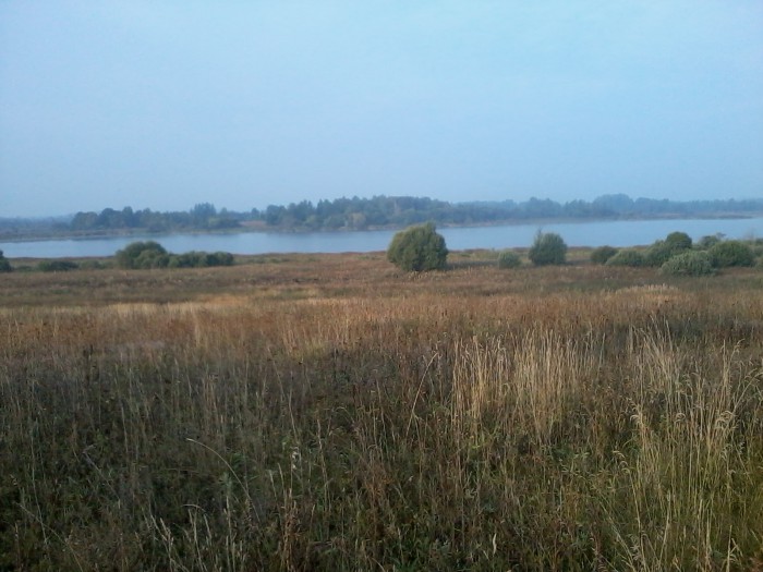 Фото0803.jpg (764.23 КБ) Просмотров: 49316 Фото0803.jpg