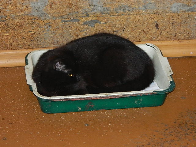 DSCN9571.JPG