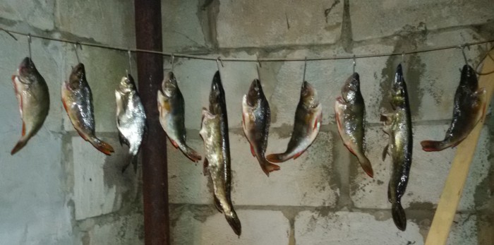 20151112_171419.jpg