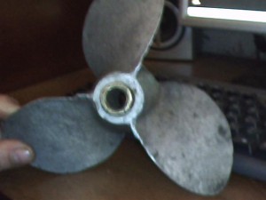 в.JPG