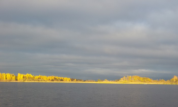 20151024_164703.jpg