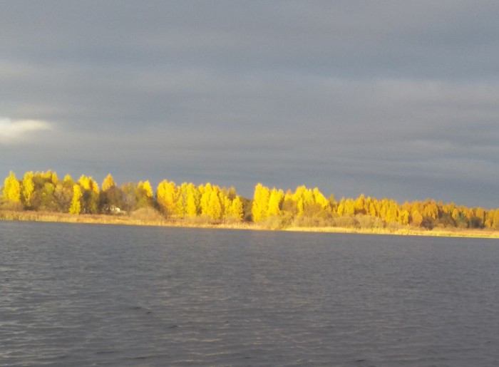 20151024_164733.jpg