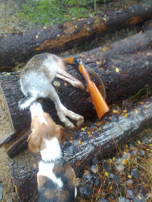 Фото0328.jpg (757.81 КБ) Просмотров: 5817 Фото0328.jpg