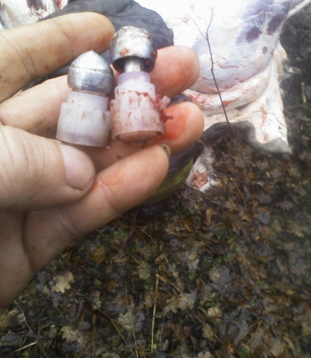 Фото 11.jpg (236.79 КБ) Просмотров: 7656 Фото 11.jpg