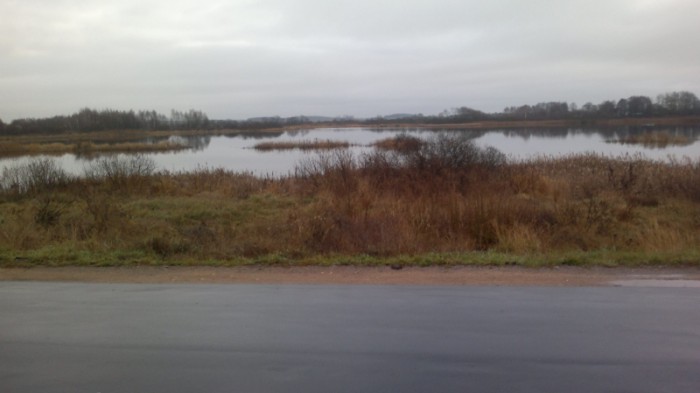 IMG_20151121_195053_800x449.jpg (206.42 КБ) Просмотров: 8408 IMG_20151121_195053_800x449.jpg