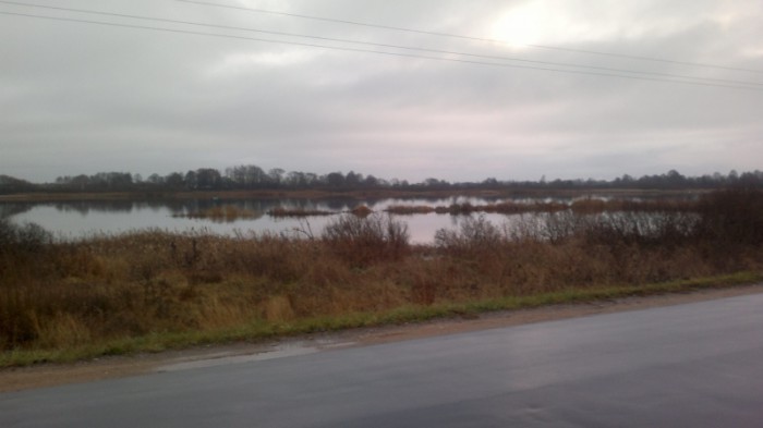 IMG_20151121_195025_800x449.jpg (194.06 КБ) Просмотров: 8408 IMG_20151121_195025_800x449.jpg