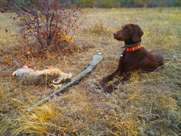 Арго с добычей.jpg (853.48 КБ) Просмотров: 6045 Арго с добычей.jpg