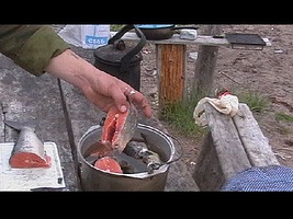 86212--9174078-h200.jpg