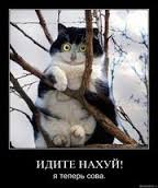 images (16).jpg
