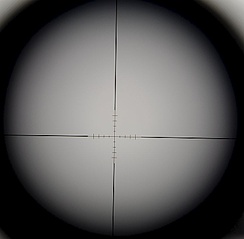 8342145.jpg
