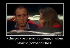 images (24).jpg