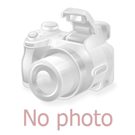 big_color_pic11421.gif