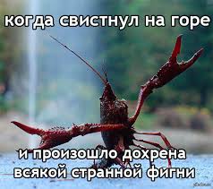 images (52).jpg