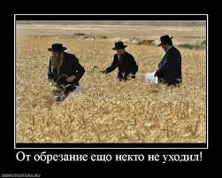images (23).jpg