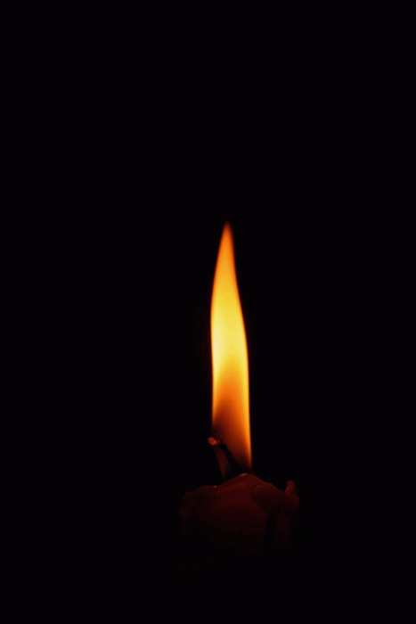 498b643d8261.gif