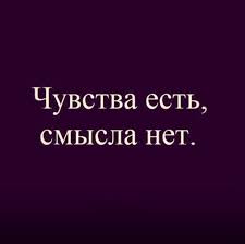 images (17).jpg