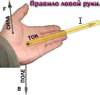 praviloleft.jpg