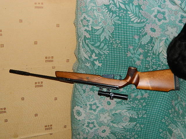 DSCN0037.JPG