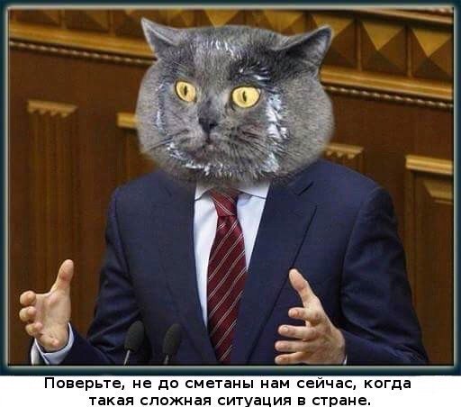 CWJeQO9TD54.jpg