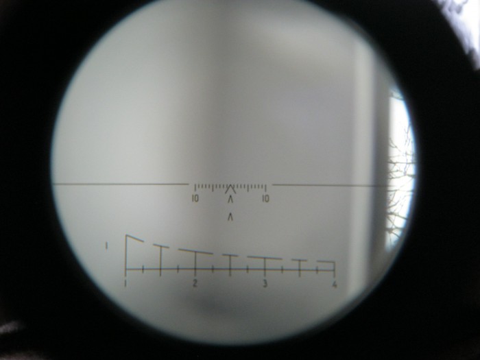 005.JPG
