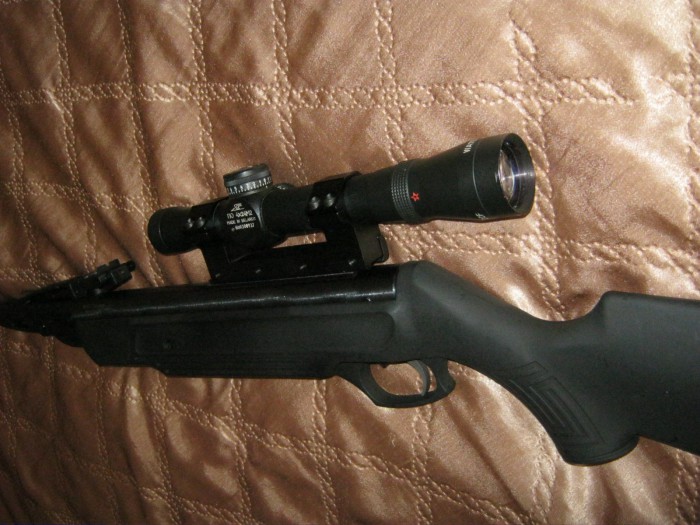 007.JPG