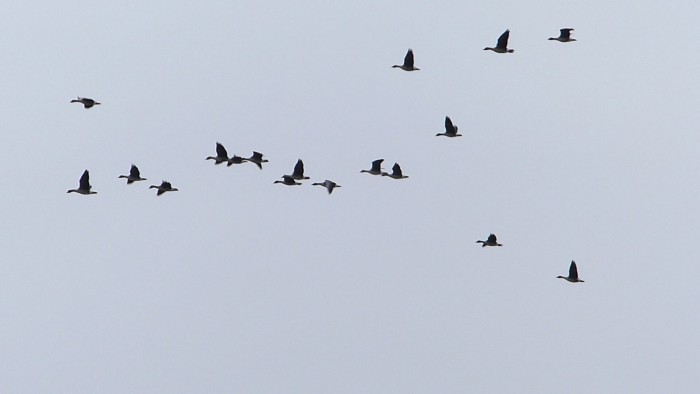20160316(112905).jpg