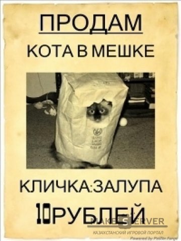 1325706625_10-guerilla.jpg