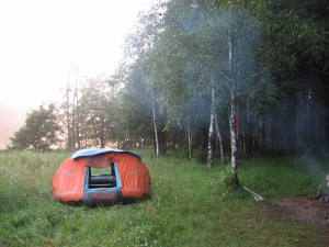 IMG_2241.jpg
