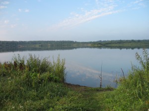 IMG_2271.jpg