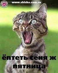 images (14).jpg