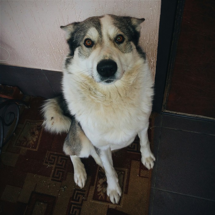 dWn8RtKLHaE.jpg (1 МБ) Просмотров: 1679 dWn8RtKLHaE.jpg