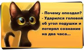 загружено (7).jpg