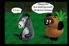 images (13).jpg