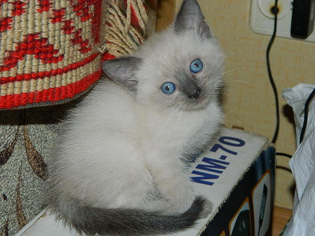 DSCN0235.JPG