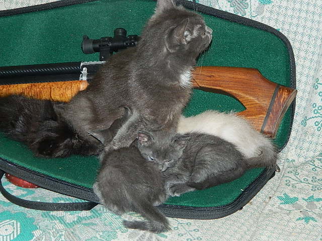 DSCN0302.JPG