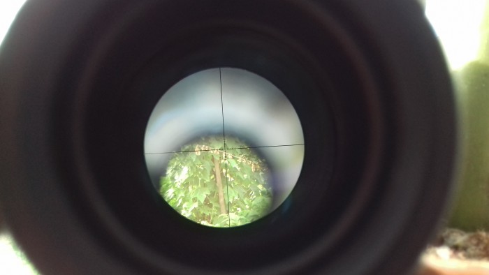 20160529_143350.jpg