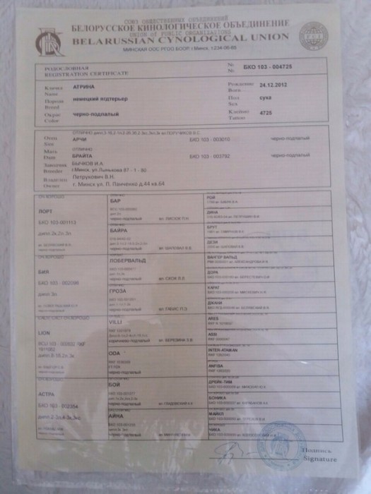 j8OH-Qs0YJg.jpg (73.55 КБ) Просмотров: 2504 j8OH-Qs0YJg.jpg