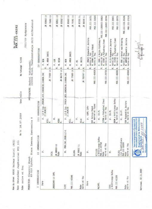 родословная аргоши 002.jpg (91.37 КБ) Просмотров: 2504 родословная аргоши 002.jpg
