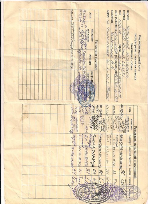 аргоша квалификация новая.jpg (155.22 КБ) Просмотров: 2932 аргоша квалификация новая.jpg