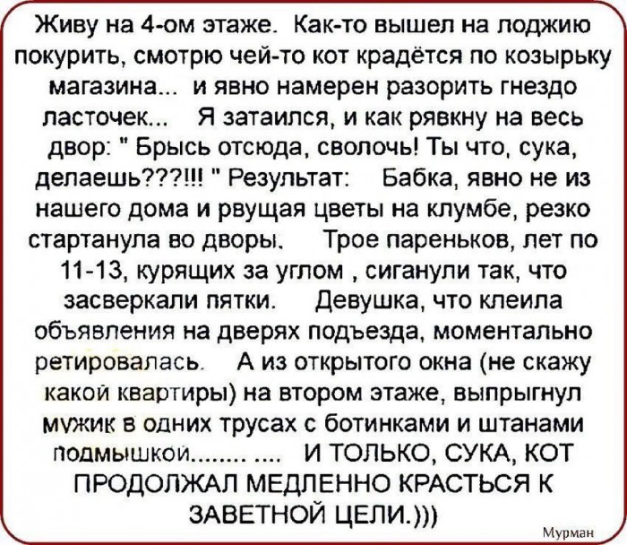 image (3).jpg