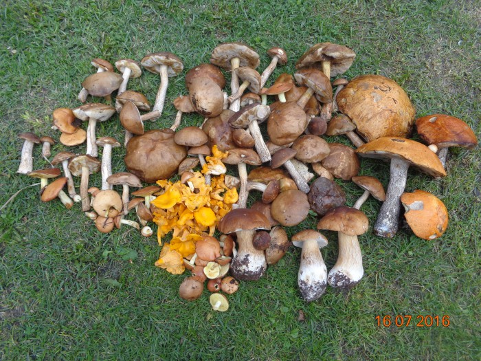 DSC04815.JPG