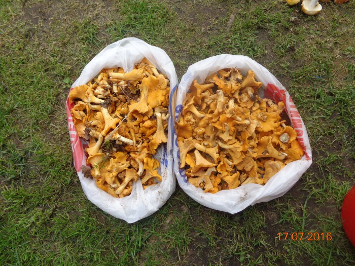DSC04869.JPG