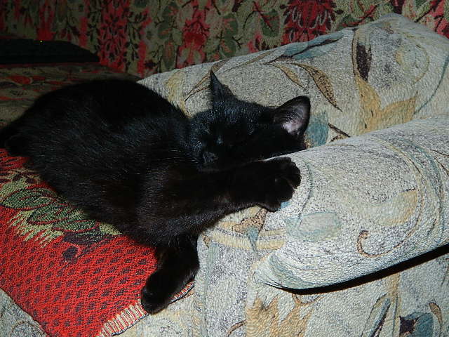 DSCN0119.JPG