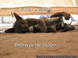 загружено (4).jpg