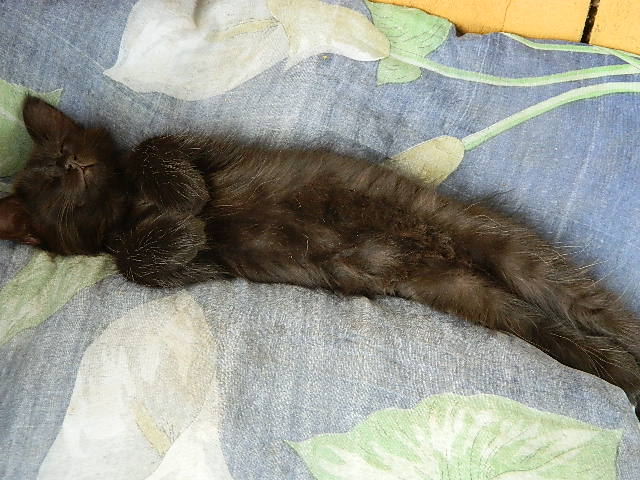 DSCN0449.JPG