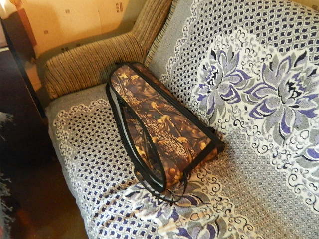DSCN0571.JPG