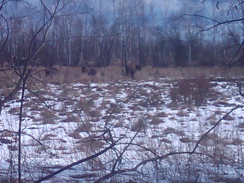 2012-03-04 12.47.12.jpg