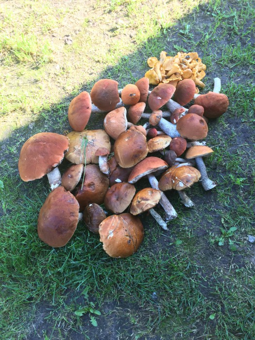 IMG_0719.jpg (1.74 МБ) Просмотров: 7270 IMG_0719.jpg