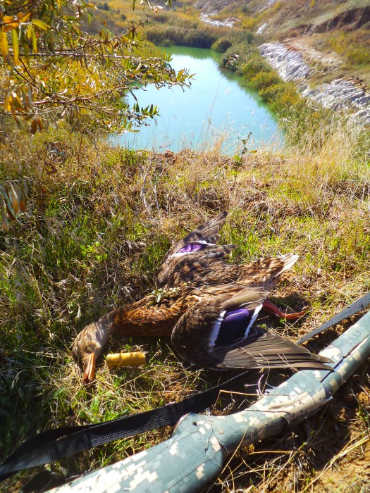 DSC04724.JPG (1.04 МБ) Просмотров: 8614 DSC04724.JPG