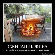 images (31).jpg